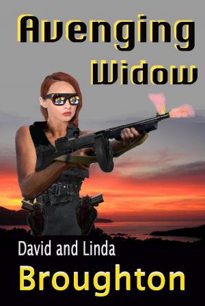 Cover of Avenging Widow