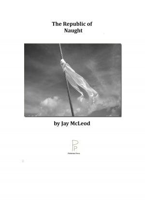 Cover of the book The Republic of Naught by Andy Hopkins