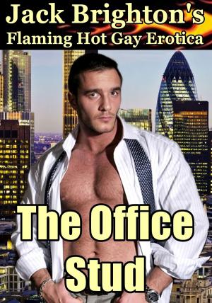 bigCover of the book The Office Stud by 