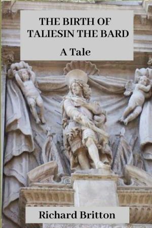 bigCover of the book The Birth of Taliesin The Bard by 