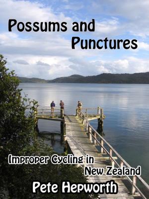 Book cover of Possums and Punctures (Improper Cycling In New Zealand)