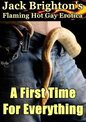 Cover of the book A First Time for Everything by Dan Bruce