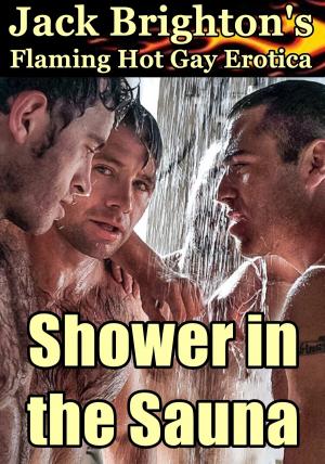 Cover of the book Shower in the Sauna by Delilah Divine