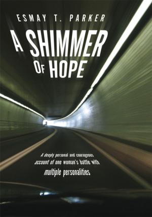 Cover of the book A Shimmer of Hope by Sidney Goldman