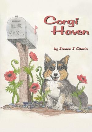 Book cover of Corgi Haven