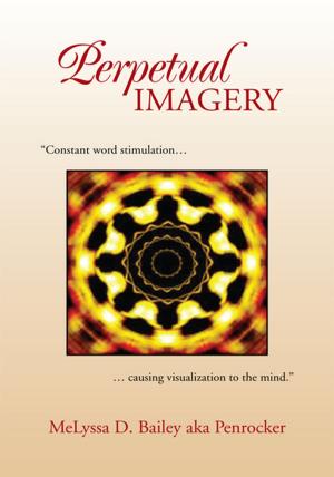 Cover of the book Perpetual Imagery by Jett White