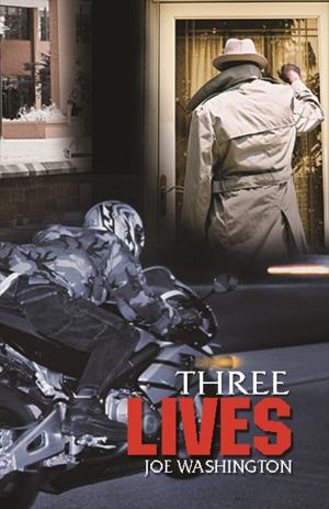 Cover of the book Three Lives by John Hakala