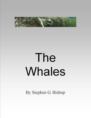 Cover of the book The Whales by Terry Mason