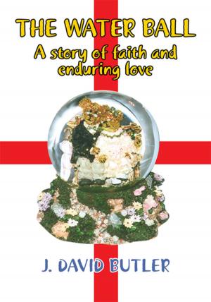 Cover of the book The Water Ball by Gary Welsh