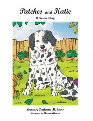 Cover of the book Patches and Katie: a Rescue Story by SJ McGarry