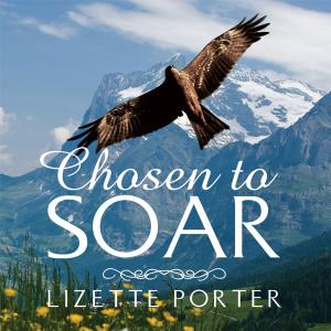 Cover of the book Chosen to Soar by Julie Allan
