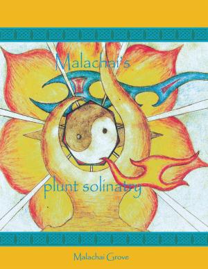 Cover of the book Malachai Grove Plunt Solinatry by R. F. Sullivan