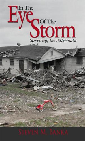 Cover of the book In the Eye of the Storm by Thelma F. Dyke, Joyce M. Wiedie
