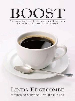 Cover of the book Boost: Powerful Tools to Re-energize and Re-engage You and Your Team in Crazy Times by Liz Bugg