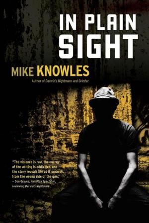 Cover of the book In Plain Sight by Mike Harrison