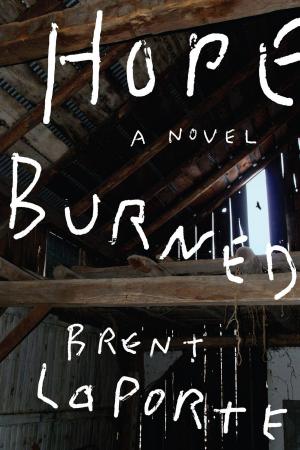 Cover of the book Hope Burned by Mike Rickard