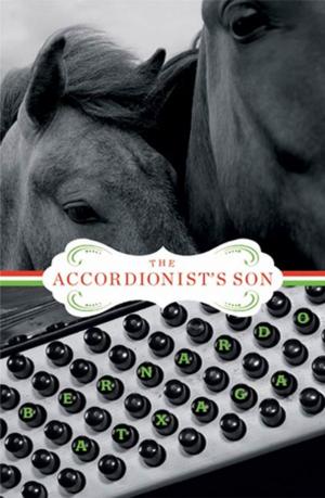 Cover of the book The Accordionist's Son by Deb Olin Unferth