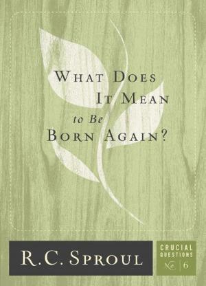 Cover of the book What does it mean to be born again? by Anthony J. Carter