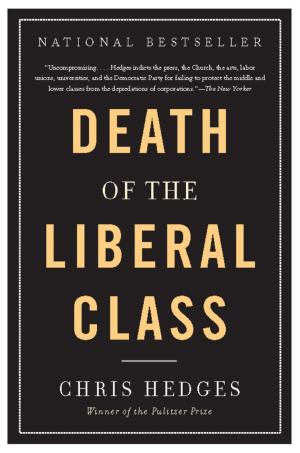 Cover of the book Death of the Liberal Class by Jeff Biggers