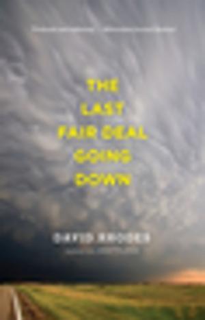 Cover of the book The Last Fair Deal Going Down by Nancy Reddy
