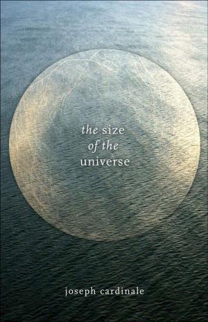 Book cover of The Size of the Universe