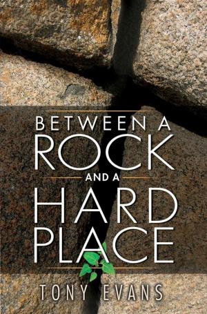 Cover of the book Between a Rock and a Hard Place by Sonya Contreras