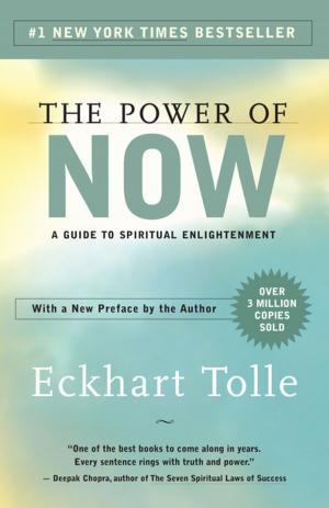 Cover of the book The Power of Now by Susan Anderson
