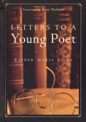 Cover of the book Letters to a Young Poet by Robin Ganzert, PhD, , Allen & Linda Anderson