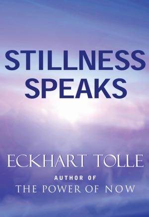 Cover of the book Stillness Speaks by Roger Housden