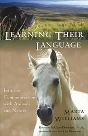 Cover of the book Learning Their Language by Shakti Gawain