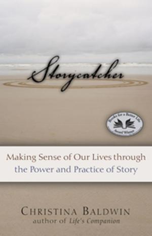 Book cover of Storycatcher