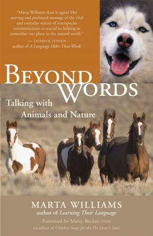 Cover of the book Beyond Words by Bernie S. Siegel