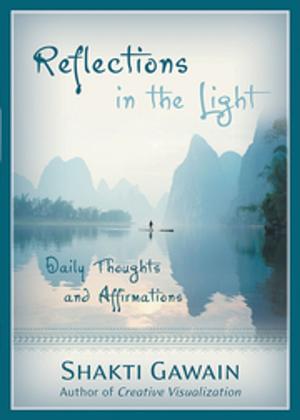 Cover of the book Reflections in the Light by Amelia Kinkade