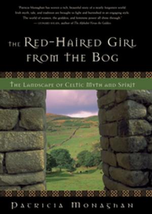 Book cover of The Red-Haired Girl from the Bog