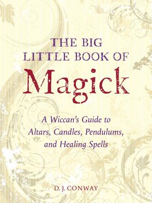 Book cover of The Big Little Book of Magick
