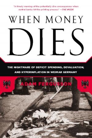 Cover of the book When Money Dies by Nir Rosen
