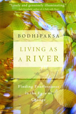Book cover of Living as a River