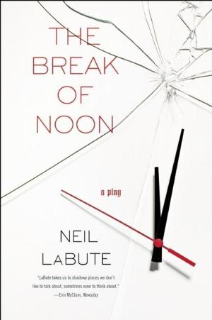 Cover of the book The Break of Noon by Kris Saknussemm