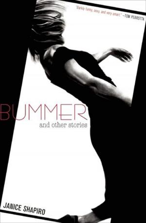 Cover of the book Bummer by Janna Malamud Smith