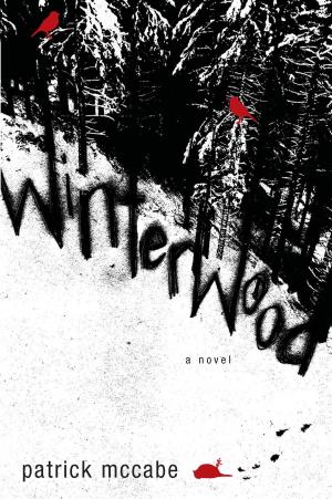 Cover of the book Winterwood by Jennifer Lynn Barnes