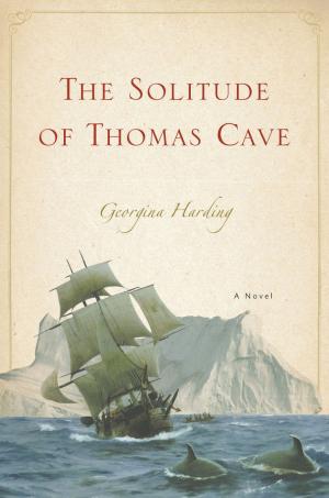 Cover of the book The Solitude of Thomas Cave by SJ Rozan, Jonathan Santlofer