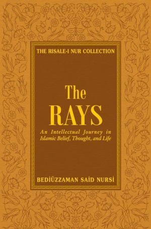 Cover of the book Rays by Maryam Kabeer Faye
