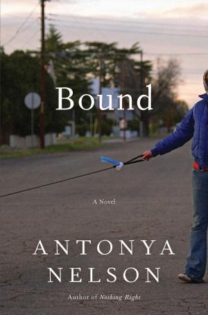Cover of the book Bound by Mary Healy