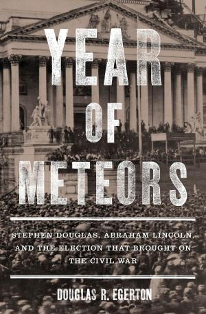 Book cover of Year of Meteors