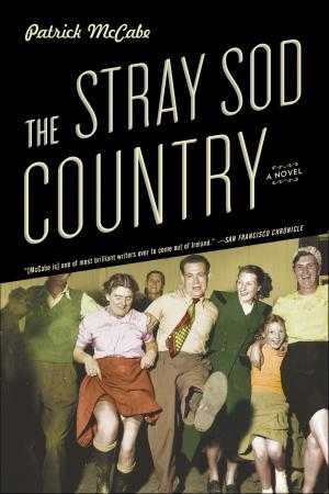 Cover of the book The Stray Sod Country by Steve Pace