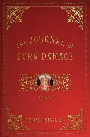 bigCover of the book The Journal of Dora Damage by 