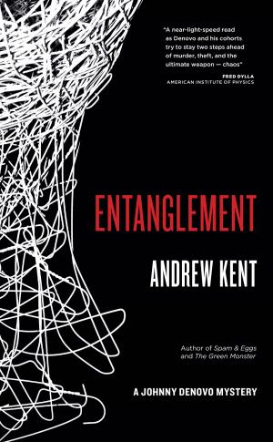 Cover of the book Entanglement: A Johnny Denovo Mystery by Michael Canfield