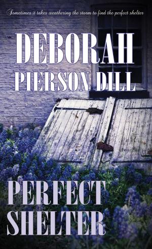 Cover of the book Perfect Shelter by Delia Latham