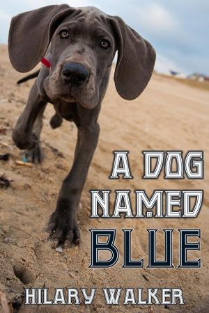 bigCover of the book A Dog Named Blue by 