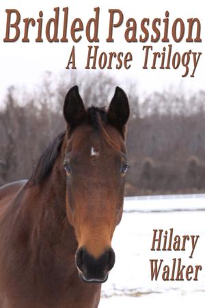 bigCover of the book Bridled Passion: A Horse Trilogy by 